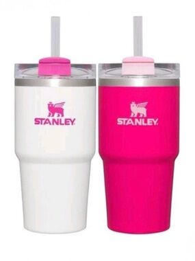 New Rare/HTF Stanley 20 oz Pink Vibes/Frost Tumblers